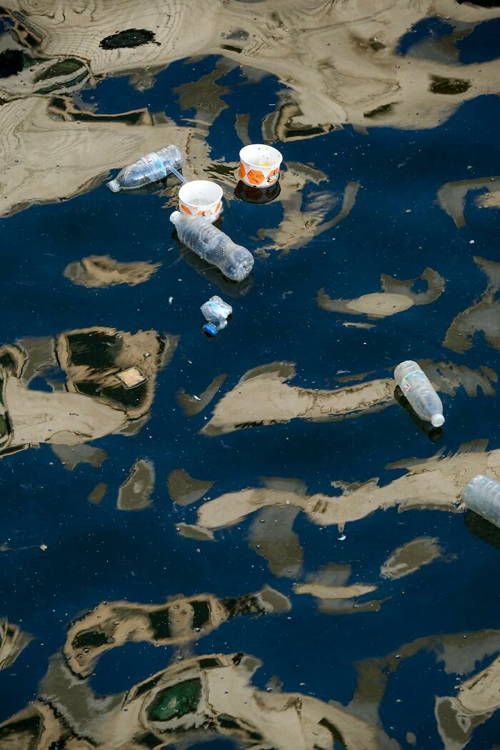 Pollution and plastic waste floating on water surface, illustrating shocking environmental changes post prison.