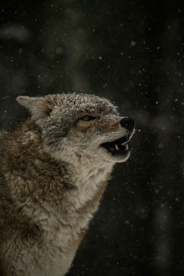 Night Shift Workers Share The Weirdest Things They’ve Encountered, Here Are The 69 Best Stories