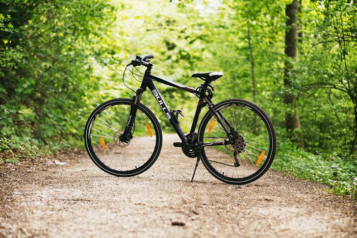 Black bicycle parked on a forest trail surrounded by green trees, symbolizing outdoor activity and lifestyle choices.