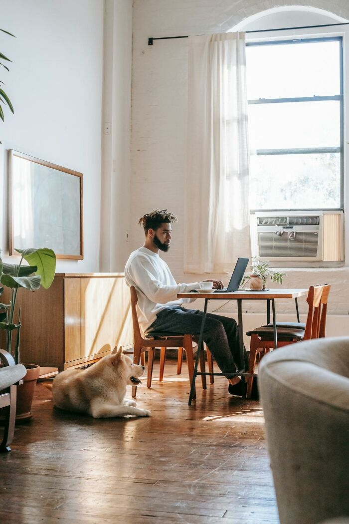 Man working on laptop at sunlit home table with dog lying nearby, illustrating creepiest displays of intelligence