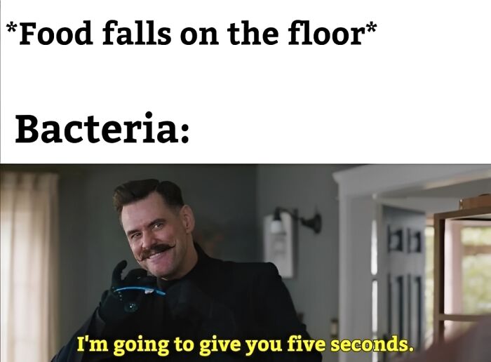 Meme showing a man with a mustache saying bacteria give five seconds after food falls on the floor, funny Eastern European humor.