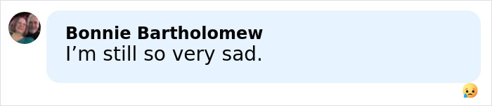 Rob Reiner wife Michele email screenshot of comment by Bonnie Bartholomew Im still so very sad with crying emoji