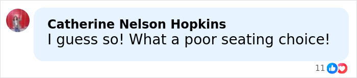 Comment by Catherine Nelson Hopkins expressing frustration about poor seating choice on social media platform.