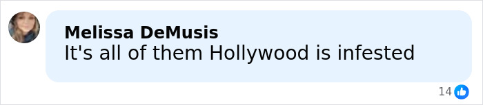 Comment by Melissa DeMusis expressing frustration about Hollywood in a social media post with reactions shown.