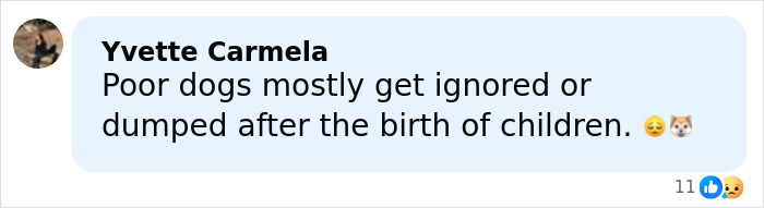 Comment by Yvette Carmela expressing concern over pets being ignored or dumped after children are born, sparking discussion about Jennifer Lawrence’s pet rehoming. Comment by Yvette Carmela expressing concern over pets being ignored or dumped after children are born, sparking discussion about Jennifer Lawrence’s pet rehoming.