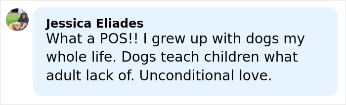 Comment from Jessica Eliades expressing frustration about rehoming pets after 9 years, mentioning dogs and unconditional love.