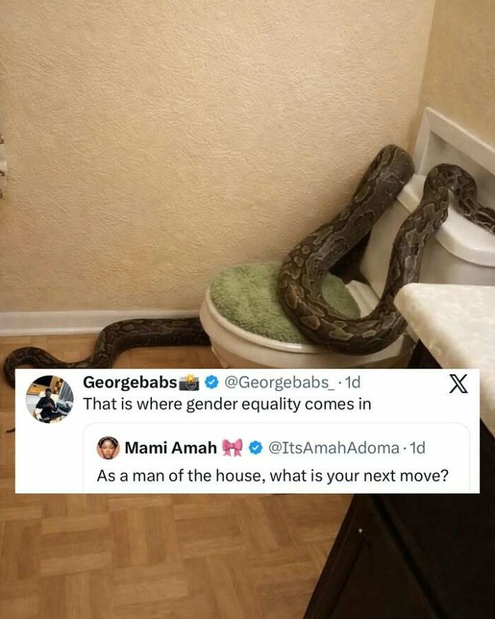 Large snake on toilet seat in bathroom with funny screenshot about gender equality and household roles.