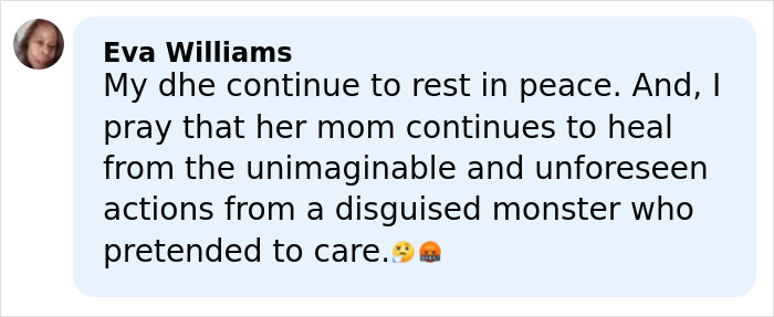 Screenshot of a heartfelt social media comment about a five-year-old&rsquo;s chilling last words before she disappeared in Alligator Alley.