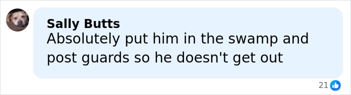 Screenshot of a comment about guarding the swamp related to a five-year-old&rsquo;s last words before disappearing in Alligator Alley.
