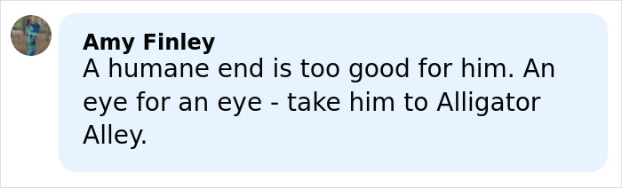 Screenshot of a social media comment referencing Alligator Alley in a discussion about a five-year-old&rsquo;s chilling last words.