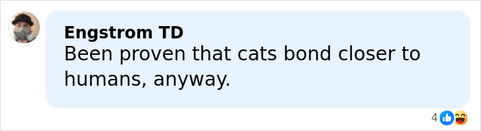 Comment by Engstrom TD expressing opinion about cats bonding closer to humans after Jennifer Lawrence sparks fury over rehoming pet. Comment by Engstrom TD expressing opinion about cats bonding closer to humans after Jennifer Lawrence sparks fury over rehoming pet.