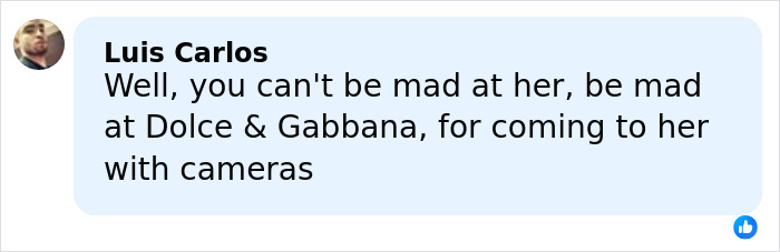 Comment by Luis Carlos discussing Dolce & Gabbana in relation to Madonna's controversial ad campaign.
