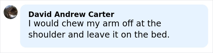 Comment from David Andrew Carter saying he would chew his arm off at the shoulder and leave it on the bed. Comment from David Andrew Carter saying he would chew his arm off at the shoulder and leave it on the bed.