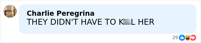 Comment expressing outrage about the mom of a 6-year-old slain by ICE in her car in Minneapolis. Comment expressing outrage about the mom of a 6-year-old slain by ICE in her car in Minneapolis.