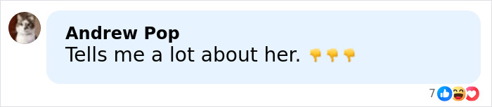 Comment by Andrew Pop expressing judgment and disagreement about Jennifer Lawrence rehoming her pet after 9 years.