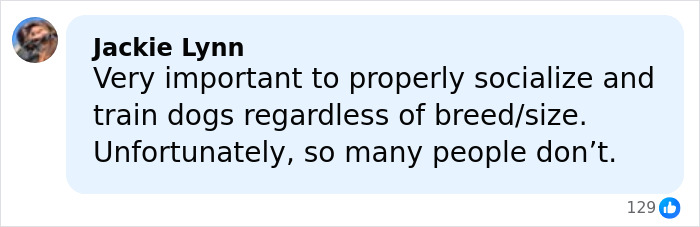 Comment by Jackie Lynn stressing the importance of properly socializing and training dogs regardless of breed or size.