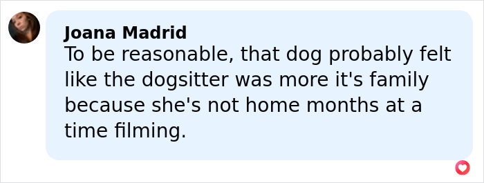 Social media comment discussing Jennifer Lawrence sparking fury after revealing why she rehomed her pet after 9 years.