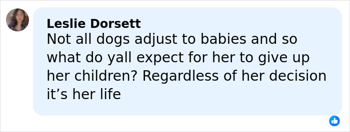 Comment by Leslie Dorsett discussing pet adjustment challenges and defending Jennifer Lawrence’s decision to rehome her pet after 9 years. Comment by Leslie Dorsett discussing pet adjustment challenges and defending Jennifer Lawrence’s decision to rehome her pet after 9 years.