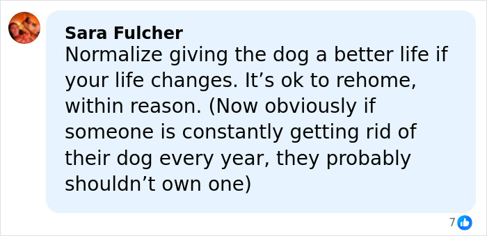 Comment supporting pet rehoming after life changes, mentioning rehoming pets and responsible dog ownership.