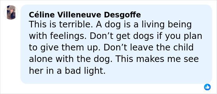 Comment expressing outrage over Jennifer Lawrence rehoming her pet after 9 years, highlighting dog welfare concerns.