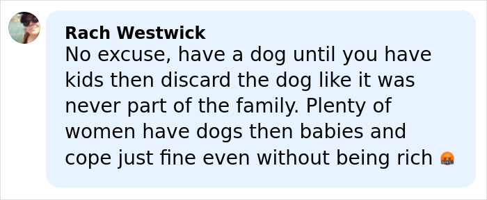 Comment expressing anger about rehoming a pet after years, sparking fury over Jennifer Lawrence pet decision.