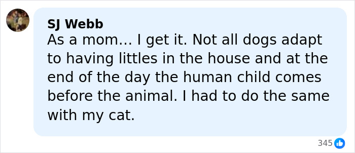 Comment about Jennifer Lawrence sparks fury after revealing why she rehomed her pet after 9 years online. Comment about Jennifer Lawrence sparks fury after revealing why she rehomed her pet after 9 years online.