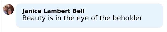 Social media comment from Janice Lambert Bell reading Beauty is in the eye of the beholder, related to Cher rude comment