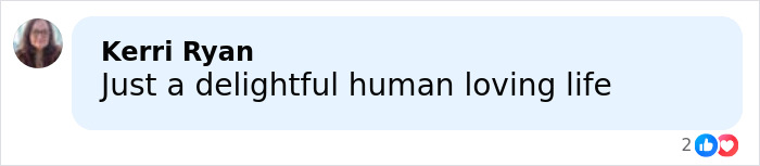 Comment by Kerri Ryan saying Just a delightful human loving life on a social media post with reactions visible.