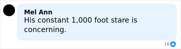 Comment on social media about Melania Trump accusing guests of breaking Mar-a-Lago rules with a disapproving tone. Comment on social media about Melania Trump accusing guests of breaking Mar-a-Lago rules with a disapproving tone.