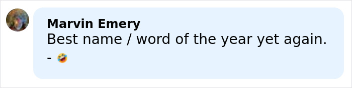 Screenshot of a comment by Marvin Emery praising the best male Karen name chosen by Gen Z with a laughing emoji. Screenshot of a comment by Marvin Emery praising the best male Karen name chosen by Gen Z with a laughing emoji.