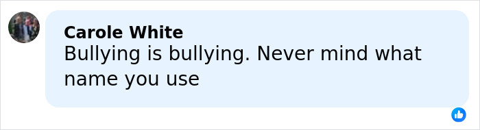 Comment on social media discussing bullying, related to Gen Z deciding on a name for the male Karen.