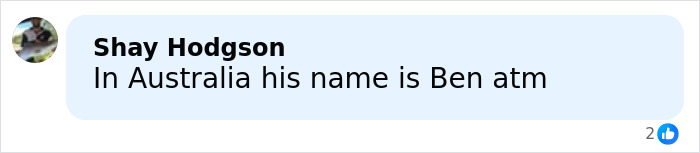 Comment from Shay Hodgson discussing the name for the male Karen chosen by Gen Z in Australia.