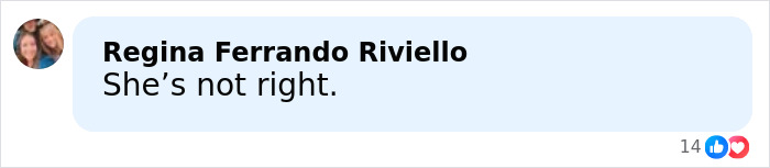 Screenshot of a social media comment responding to Melissa Gilbert&rsquo;s lengthy letter about Timothy Busfield sparking mass fury.