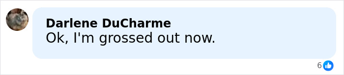 Comment saying Ok, I'm grossed out now, on a light blue background in a social media post about lifeless bodies used for BBLs and breast implants. Comment saying Ok, I'm grossed out now, on a light blue background in a social media post about lifeless bodies used for BBLs and breast implants.