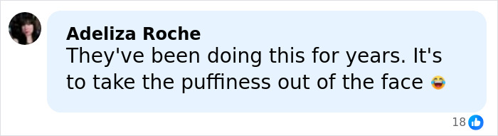 Comment about a beauty hack related to Botox to reduce facial puffiness, sparking reactions online.