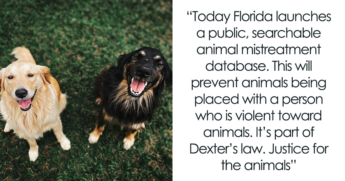 36 Uplifting Stories Of Progress And Hope In America That Go Beyond The Negative Headlines