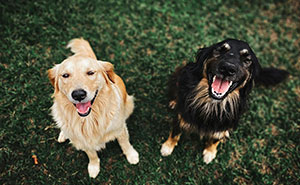 35 Americans Share The Good Things Happening In The U.S. That No One Talks About