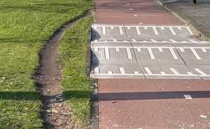 94 “Desire Paths” That Show Human Stubbornness In The Nicest Way Possible (New Pics)