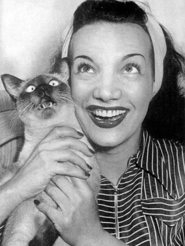Vintage cat photo of a smiling woman holding a wide-eyed Siamese cat showcasing timeless feline charm from history.