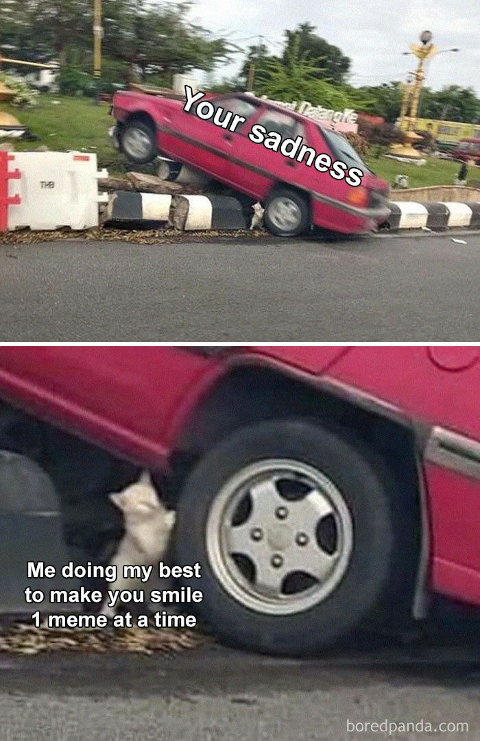 Red car stuck on curb labeled Your sadness with a cat underneath, captioned about making you smile, funny memes concept.