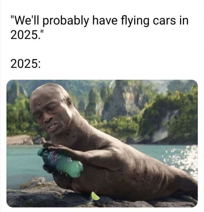 Man-seal hybrid holding a drink by the water, a funny meme illustrating bizarre humor from funny memes that make no sense.