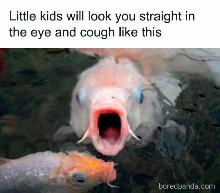 Funny meme showing a fish with its mouth open wide, illustrating absurd humor that somehow works effectively.