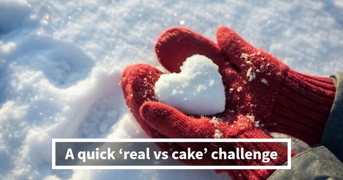 “Which One Is The Cake?”: See If Your Eyes Can Spot 35 Shockingly Real Objects