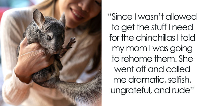 Teen Tries To Give Gifted Chinchillas A Proper Life, Mom Mad She Won’t Settle For The Bare Minimum
