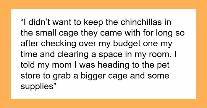 Mom Buys Chinchillas As B-Day Surprise, Teen Tries To Give Them Better Life, Gets Slammed For It