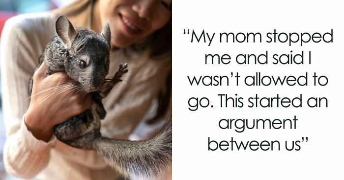 Teen Tries To Give Gifted Chinchillas A Proper Life, Mom Mad She Won’t Settle For The Bare Minimum