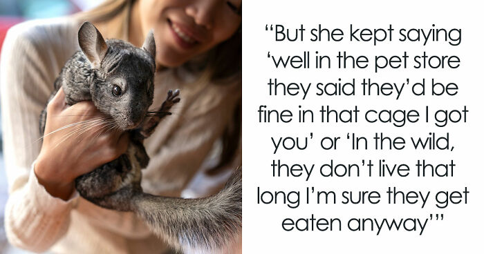 Teen Tries To Give Gifted Chinchillas A Proper Life, Mom Mad She Won’t Settle For The Bare Minimum