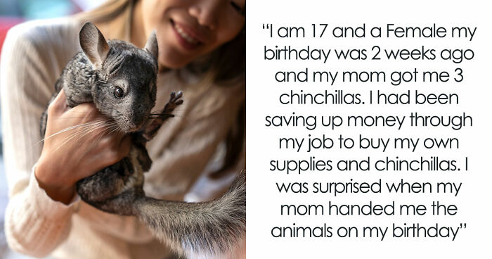 Teen Tries To Give Gifted Chinchillas A Proper Life, Mom Mad She Won’t Settle For The Bare Minimum