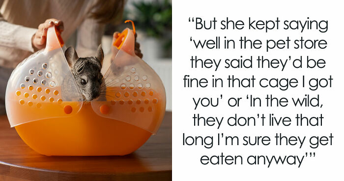 Teen Tries To Give Gifted Chinchillas A Proper Life, Mom Mad She Won’t Settle For The Bare Minimum