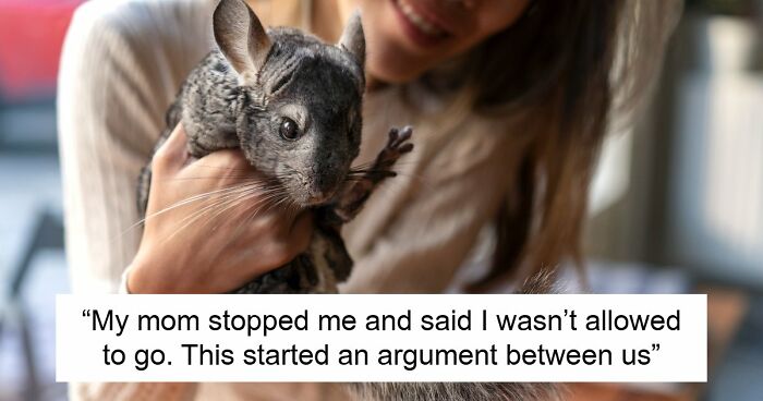 Mom Buys Chinchillas As B-Day Surprise, Teen Tries To Give Them Better Life, Gets Slammed For It